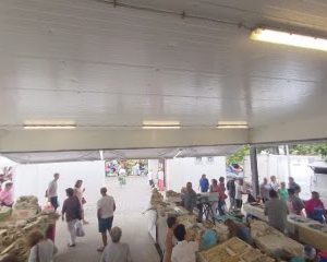 Estofos e Loja de Móveis Moveis Costa Verde Lda